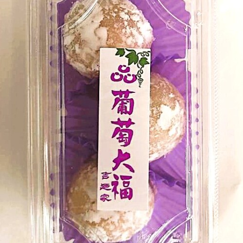 YSN0022