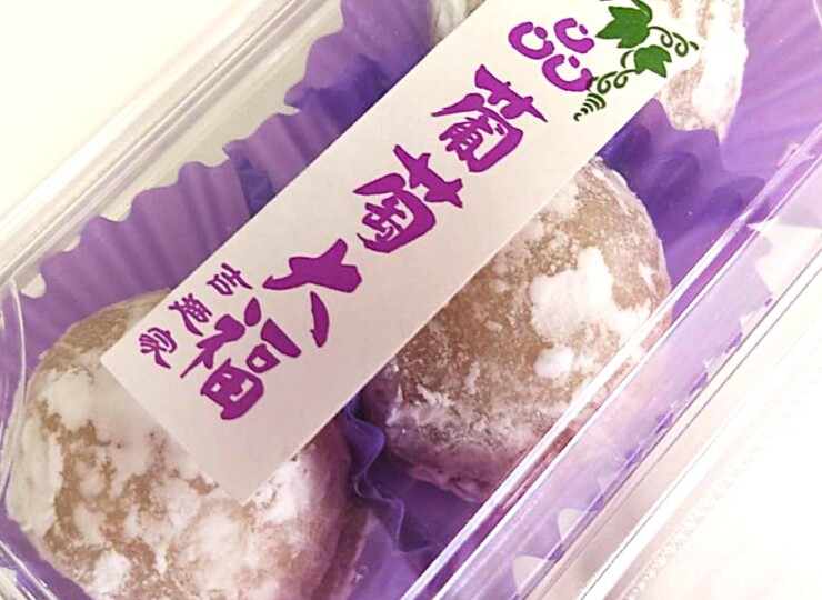 YSN0022