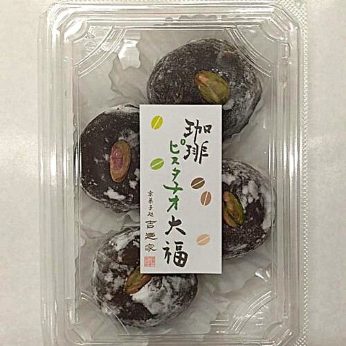 YSN0049